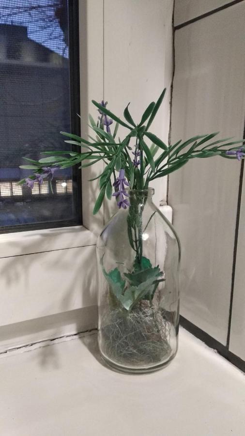 לבוב Apartment Anna מראה חיצוני תמונה